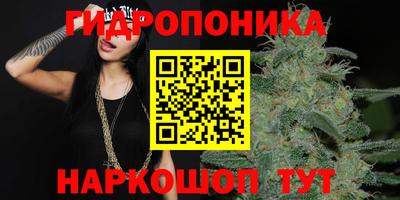 гидропоника Аргун