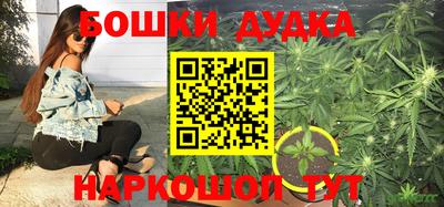 гидропоника Аргун