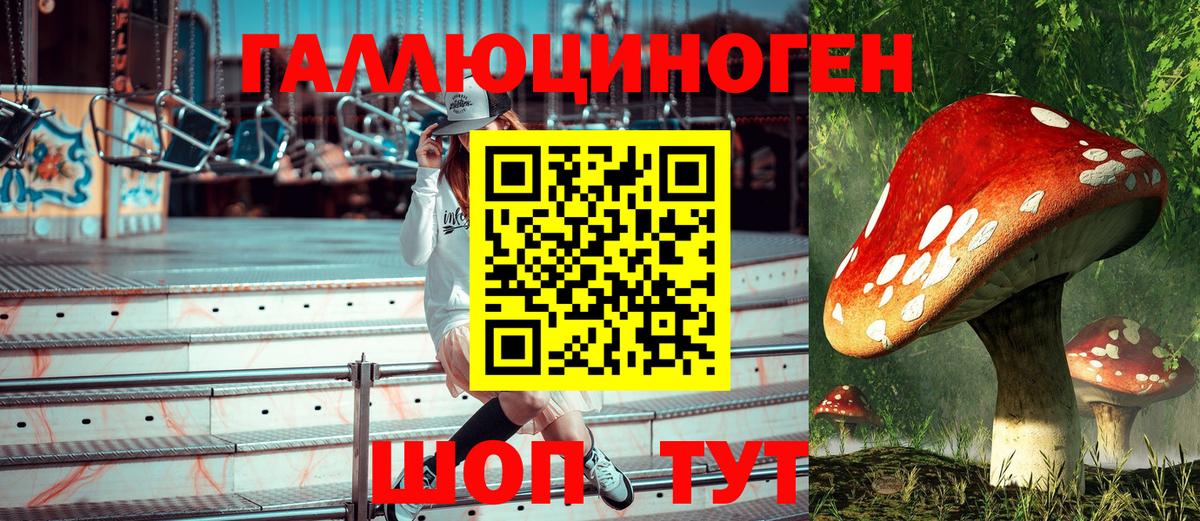 Псилоцибиновые грибы Magic Shrooms Вятские Поляны