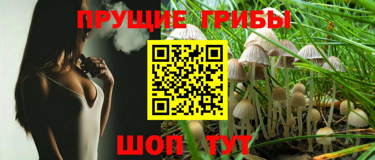 Галлюциногенные грибы GOLDEN TEACHER  Вход с VPN  Вятские Поляны 